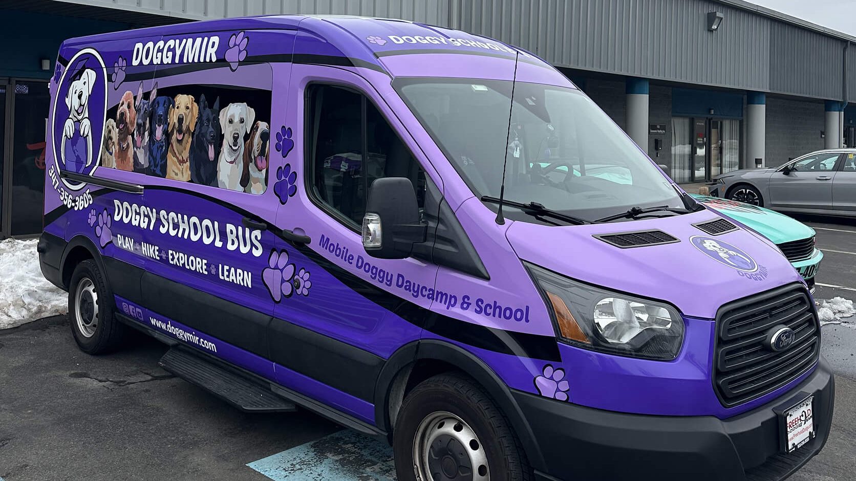 van wrap dogs3 e1771684894782